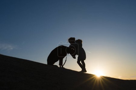 Téléchargez les photos : Doberman et silhouette d'enfant au coucher du soleil - en image libre de droit