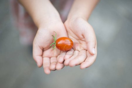 Niño con un tomate pequeño