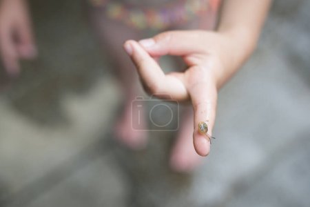 Téléchargez les photos : Petit escargot sur le doigt - en image libre de droit