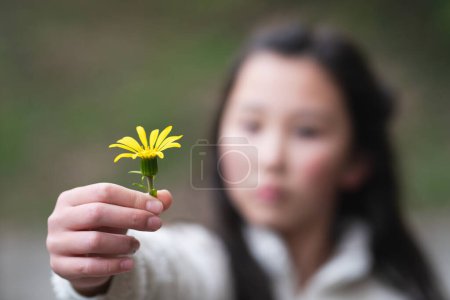 Photo for A girl holding out a yellow flower - Royalty Free Image