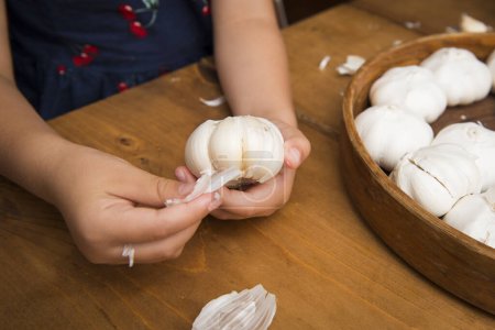 Photo for Children's hand peeling the garlic - Royalty Free Image