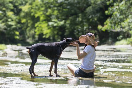 Téléchargez les photos : Belle femme jouant avec chien de compagnie - en image libre de droit