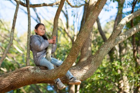 Photo for Little girl climbing tree in park - Royalty Free Image