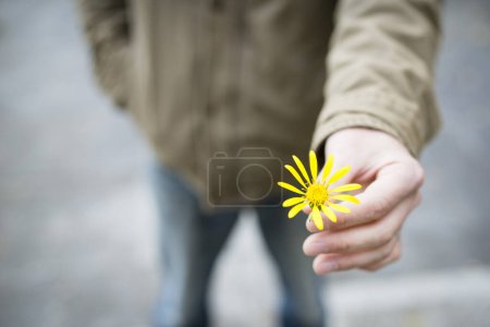 Foto de Hombre presente flor en la mano - Imagen libre de derechos