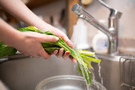 Téléchargez les photos : Femme lavage des mains légumes dans la cuisine - en image libre de droit
