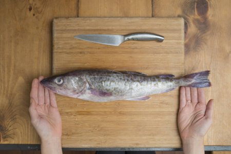 Photo for Cod fish on cutting board - Royalty Free Image