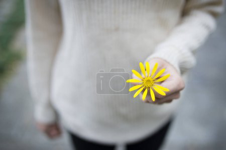 Téléchargez les photos : Femme à fleur jaune - en image libre de droit