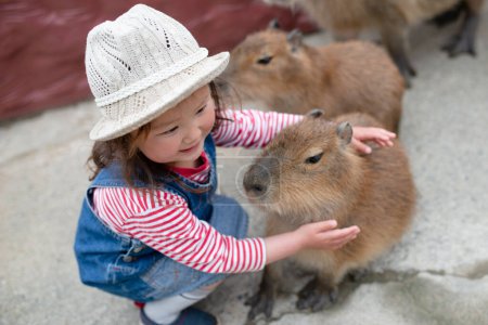 Téléchargez les photos : Petite fille touchant le capybara - en image libre de droit