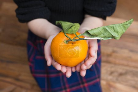 Photo for Child hands with mandarin orange - Royalty Free Image