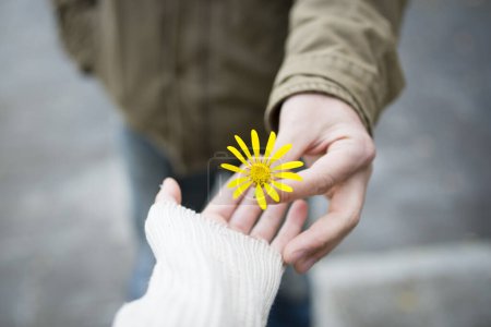 Foto de Manos de hombre y mujer con flor amarilla - Imagen libre de derechos
