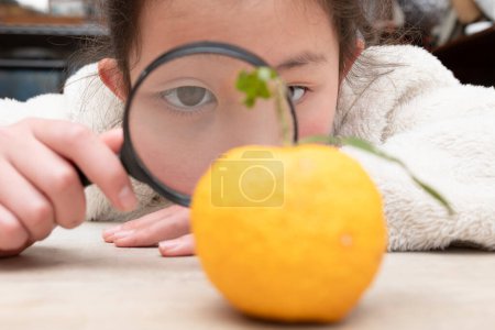 Foto de Chica mirando lupa en naranja - Imagen libre de derechos
