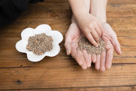 Photo for Parent and child hand with lentils - Royalty Free Image