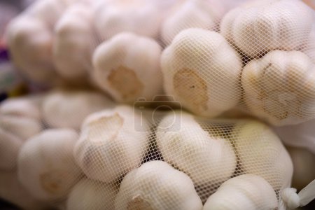 Photo for Lots of garlic in the net - Royalty Free Image