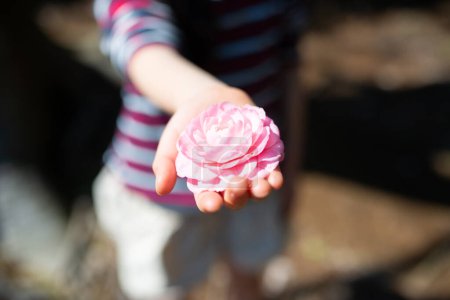 Téléchargez les photos : Enfant tenant une fleur rose - en image libre de droit