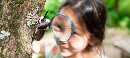 Foto de Chica ve un escarabajo con una lupa - Imagen libre de derechos