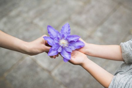 Téléchargez les photos : Parent et enfant remettant fleur bleue - en image libre de droit