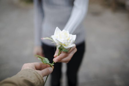 Foto de Pareja entregando una rosa blanca - Imagen libre de derechos