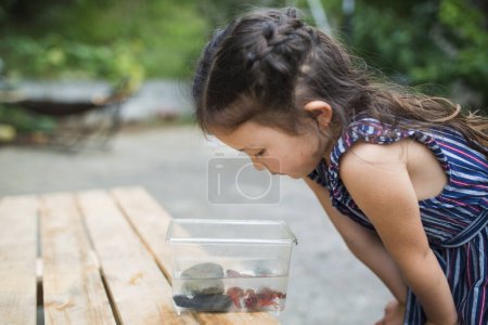 Photo for Little girl to observe crayfish - Royalty Free Image