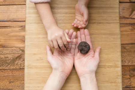 Photo for Parent and child hands handing truffle - Royalty Free Image
