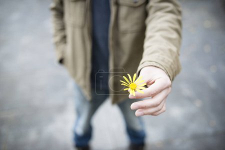 Photo for Man present flower in hand - Royalty Free Image