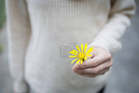 Foto de Mujer con flor amarilla - Imagen libre de derechos