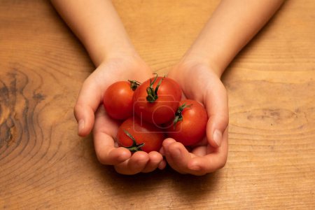 Téléchargez les photos : Mains de femme tenant des tomates rouges sur un fond en bois. - en image libre de droit