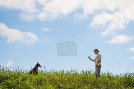 Téléchargez les photos : Homme jouant avec le chien sur la pelouse - en image libre de droit