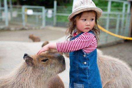 Little girl touching the capybara