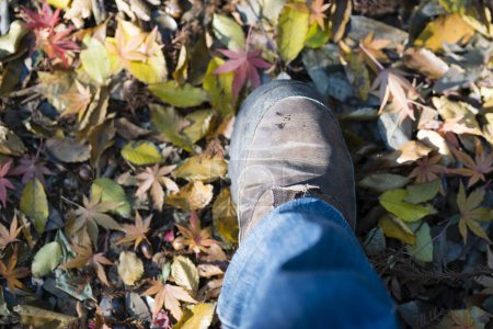 Téléchargez les photos : Pied mâle marchant sur les feuilles tombées - en image libre de droit