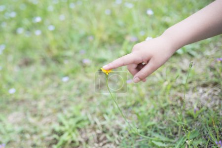 Foto de La mano del niño tocando la flor amarilla - Imagen libre de derechos