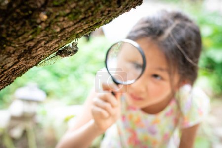 Photo for Girl looks at cicadas with magnifying glass - Royalty Free Image