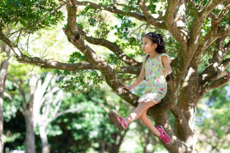 Téléchargez les photos : Bonne petite fille grimpant à un arbre - en image libre de droit