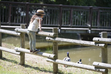 Téléchargez les photos : Petite fille regardant les oiseaux de l'étang - en image libre de droit
