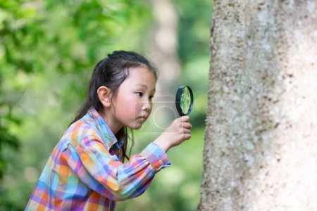 Téléchargez les photos : Jeune fille asiatique à la recherche avec loupe sur arbre - en image libre de droit