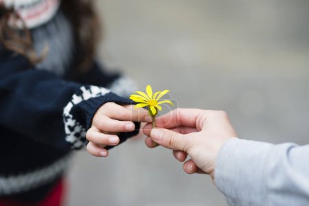 Téléchargez les photos : Mère et enfant remettant fleur jaune - en image libre de droit