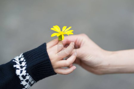 Téléchargez les photos : Un enfant et sa mère mains avec des fleurs à l'extérieur - en image libre de droit