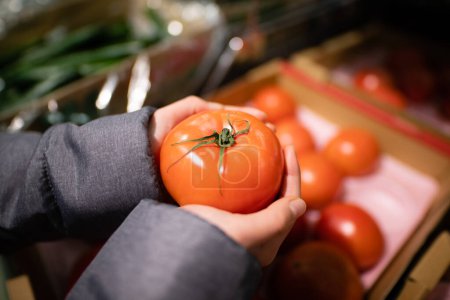 Photo for Hand of a child holding a tomato - Royalty Free Image