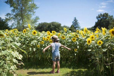 Photo for Girl opens arms in sunflower field - Royalty Free Image