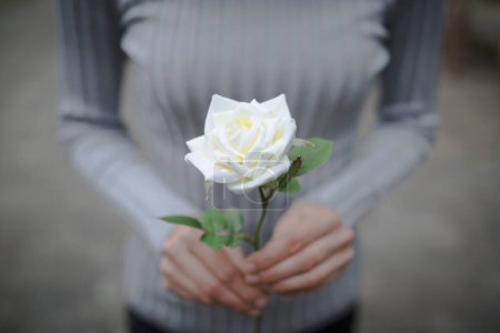 Foto de Mujer con una rosa blanca - Imagen libre de derechos