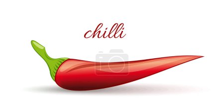 Illustration for Fresh red hot chili pepper isolated on white background. Vector illustration - Royalty Free Image