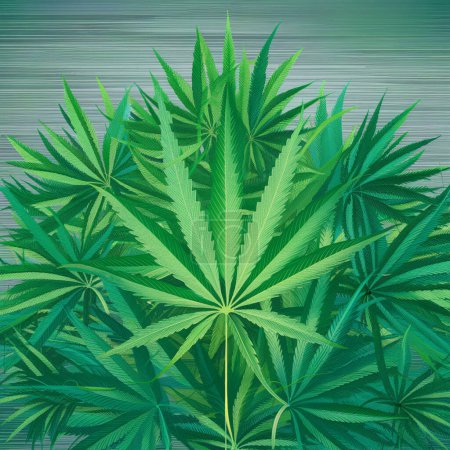 Cannabis Marihuana Hanf Blatt grünen Hintergrund Medizin Unkraut