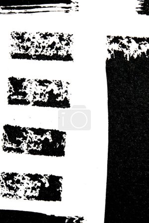 Una pluma de líneas de pinceladas abstracta en blanco y negro pintada sobre papel blanco.fondo