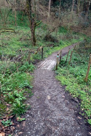 Ein britischer Waldspaziergang durch einen Wanderweg mit Pfad