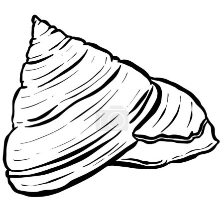 Conque coquille d'escargot de mer Décrivez la conception de logo de style dessin animé dans le vecteur