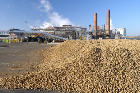 Saint Louis Sucre produziert und verkauft Zuckerrüben und Rohrzucker für Verbraucher, Industrie und das Food Service Geschäft in Frankreich, Europa und der Welt. Eppeville, Somme, Frankreich