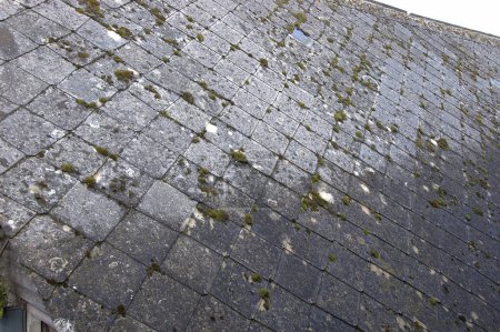 Alte Faserzementdächer von landwirtschaftlichen Gebäuden, die Asbest enthalten. Diagnose durch einen Experten beim Landwirt