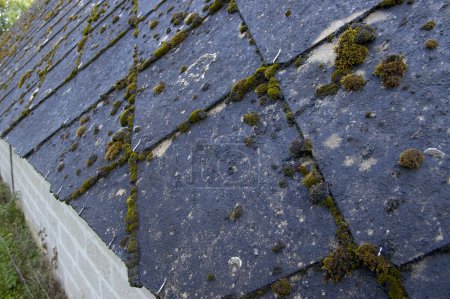 Vieilles toitures en fibre de ciment de bâtiments agricoles contenant de l'amiante. Diagnostic effectué par un expert auprès de l'agriculteur