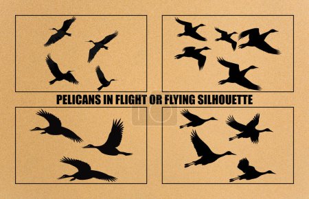 Ilustración de Pelícanos Volando Siluetas, bandada de aves volando siluetas Pelícanos Volando vector - Imagen libre de derechos