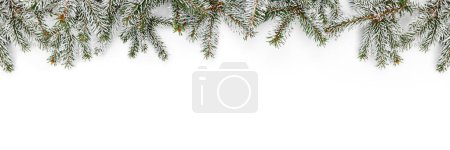 Photo for Snowy Merry Christmas garland made of fir branches on white background. Happy New Year and Xmas, top view, wide banner - Royalty Free Image