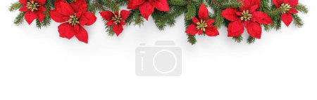 Photo for Merry Christmas garland made of fir branches and holiday red flowers on white background. Happy New Year and Xmas, top view, wide banner - Royalty Free Image